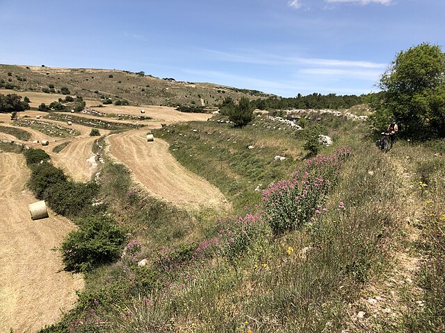 Campagne